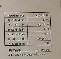  白血病のモデル・ネイボール、2回目の通院にかかった金額を公開「抗がん剤と副作用止めのお薬をもらいに」 