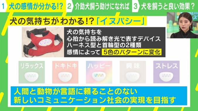 あなたは犬の気持ちが本当にわかっている？ 愛犬の感情を知る「イヌパシー」とは 8枚目
