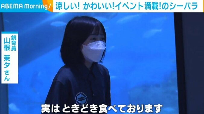 同じ水槽内のサメに食べられる!? 海の“リアル”を見て学べる水族館 2枚目