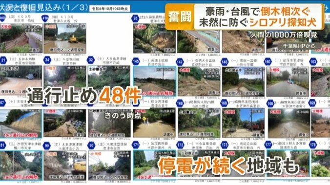 爪痕が残る千葉県
