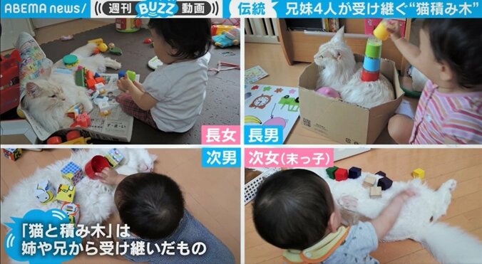 4兄妹に注がれた猫4匹の愛情が話題 “完全無防備”な姿に「癒される」の声も 2枚目