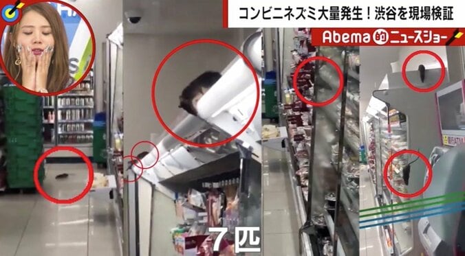 「どの商品棚にも…」コンビニにネズミが大量発生　映像撮影者「ずっと前から動物園のような臭いが…」 1枚目