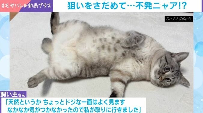 ふぅちゃん