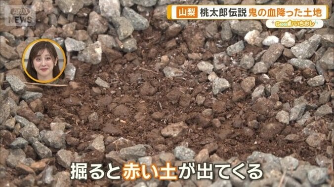 掘ると赤い土が