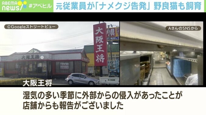 調理器具にも…大阪王将“ナメクジ”騒動 元従業員が怒りの告発「辞めれば全部なかったことになるのか」 3枚目