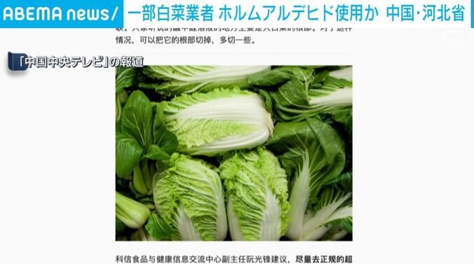 白菜