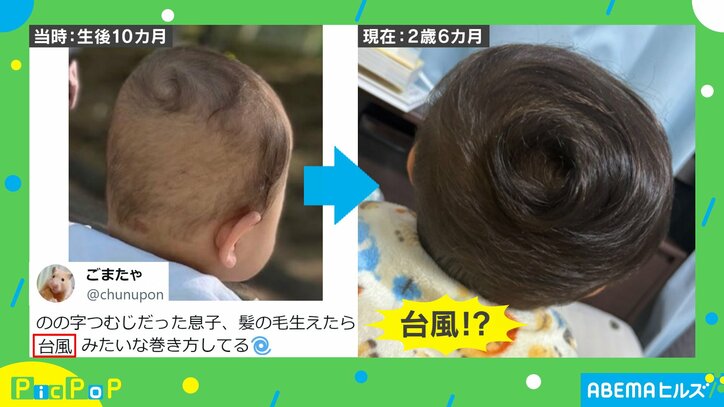 【写真・画像】 2枚目