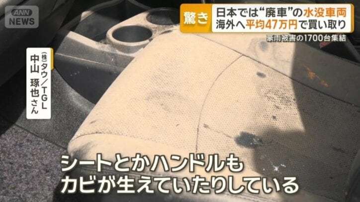 シートなどにカビも