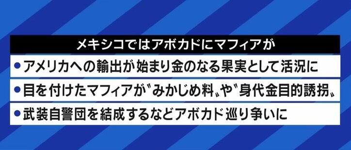 アボカドが自然破壊の遠因に?「人気が高まることで、むしろ環境負荷が減らせる可能性もある」