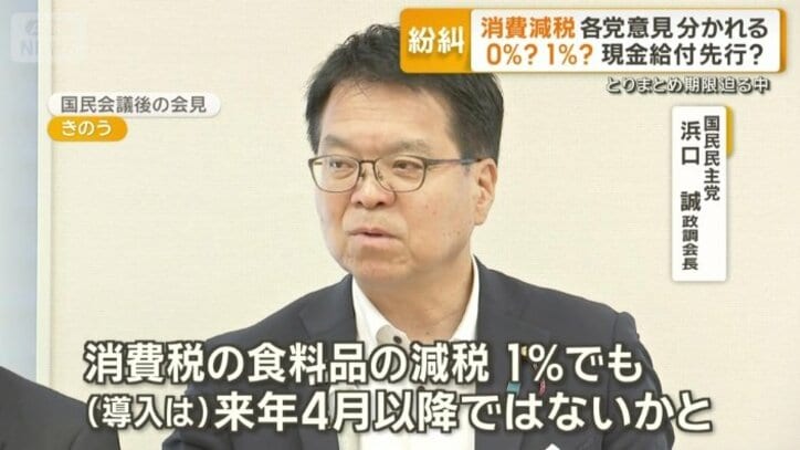 国民民主党　浜口誠政調会長
