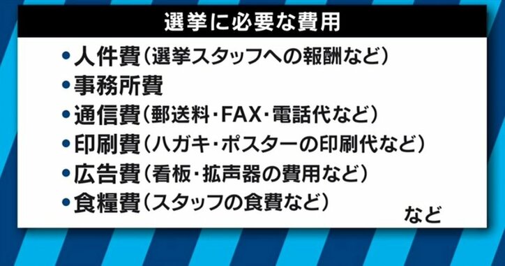 "泡沫"と揶揄も…公認候補との大きな"格差"と闘うインディーズ候補たちの訴え