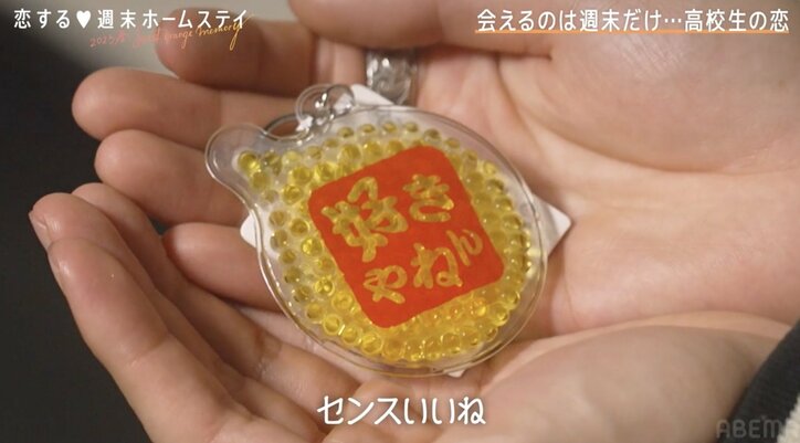 木下優樹菜似の高1女子・ここなの男子に甘える姿がかわいすぎる「もっとギュッとして!」