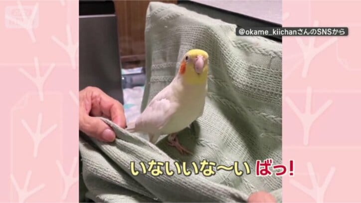 ばっ！