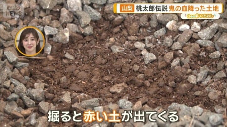 掘ると赤い土が