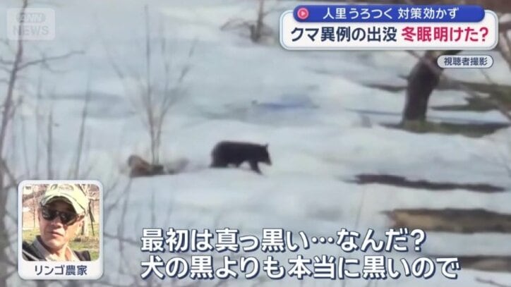 「子グマでも怖い」