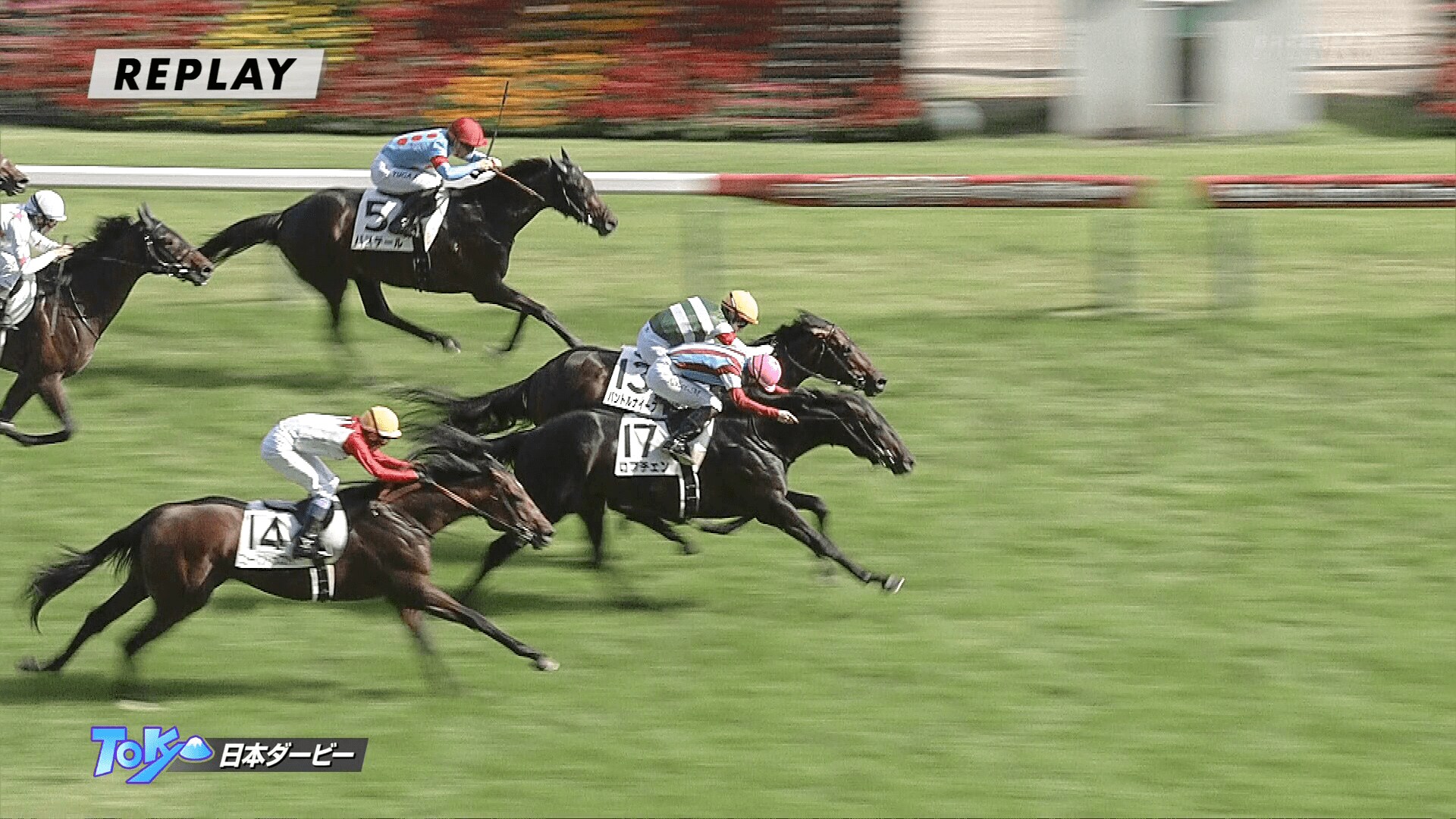 日本ダービー】ロブチェン勝利で史上25頭目の春クラシック2冠達成 