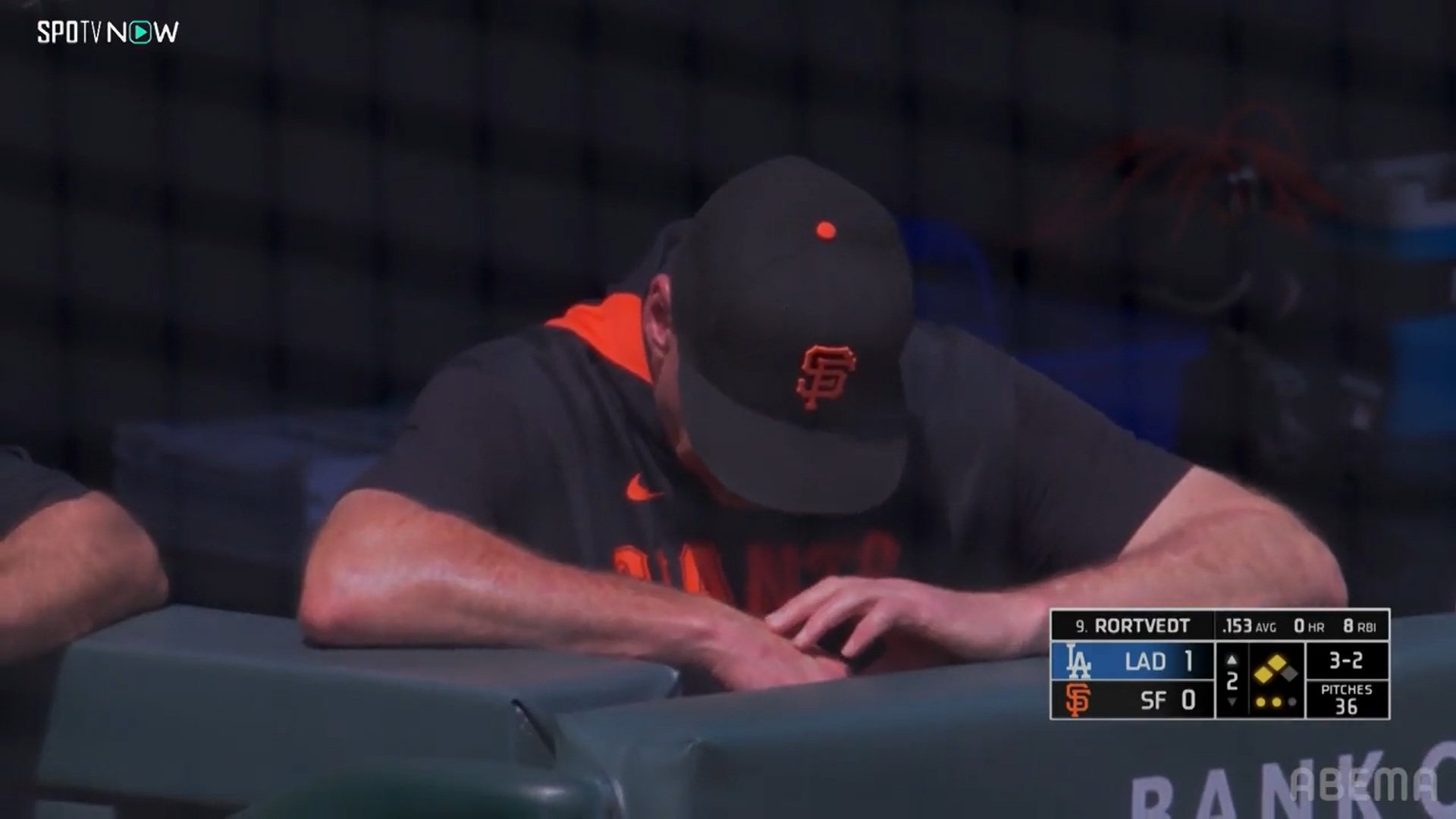 【写真・画像】　2枚目