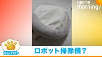 【映像】“お掃除ロボット”のような動きをする犬