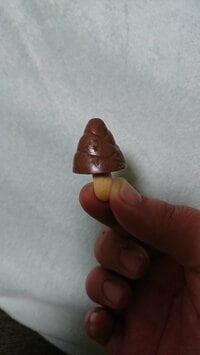 メイプル・安藤なつ、レアすぎる“たけのこの山”を発見「願い事叶う？」