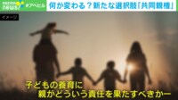 【映像】離婚の種類ごとの「共同親権」導入イメージ