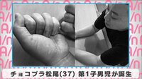 チョコプラ松尾 第1子男児が誕生