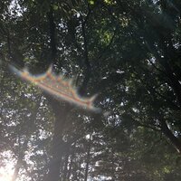 川田裕美『見学』