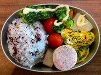 宮崎謙介『日常のお弁当』