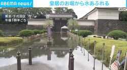 皇居のお堀から水あふれる