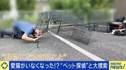 発見率7割！迷子の犬猫など 5000匹救出「ペット探偵」捜索のポイントは「『悪意がない』第三者の関与も視野に」
