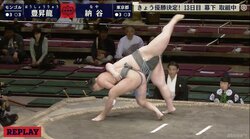 元横綱のDNAを持つ2人が幕下でプロの壁　豊昇龍勝ち越し、納谷負け越しで明暗くっきり
