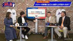 メジャーリーグはマスコットの待遇も超ビッグ！？年俸1億円超の超人気者も