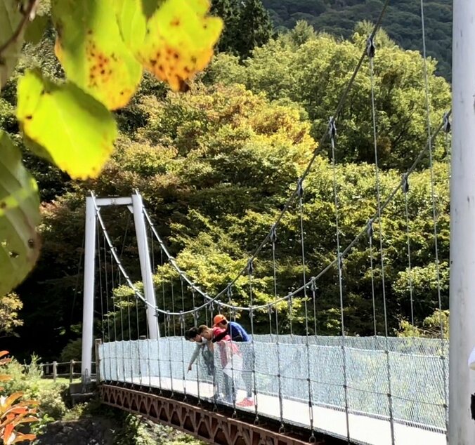 長嶋一茂、ロケ中にサンドウィッチマンにマジギレ？「バカか！お前ら！」 3枚目