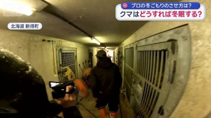 両側にクマの獣舎