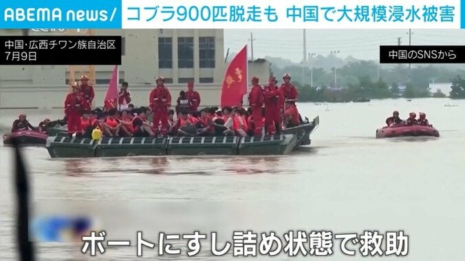中国
