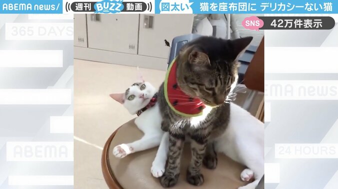 【写真・画像】　1枚目