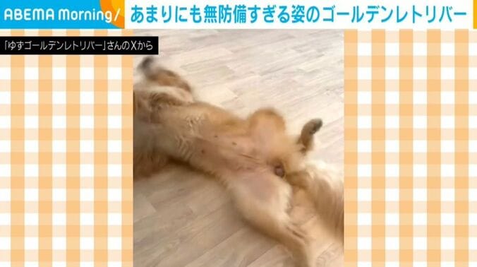 ゆずちゃん