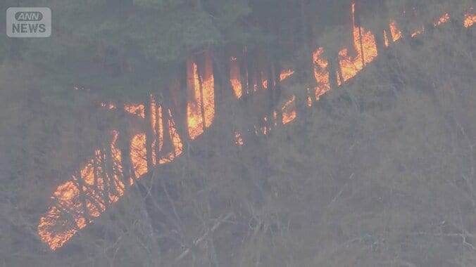 岩手山火事2600人避難指示　住宅のすぐ近くにまで…「津波も火事も」住民疲弊 1枚目