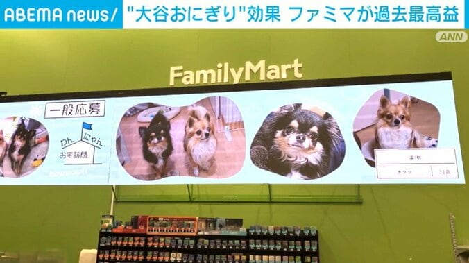 大型ディスプレイ