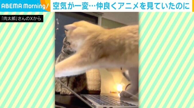 肉太郎くんとムギちゃん