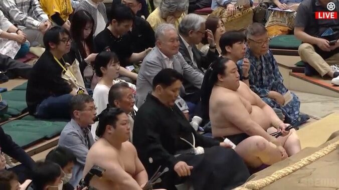 「気配消しすぎ」大相撲五月場所でひっそり鎮座する姿が話題「あれっ？おるやん！」密かな注目を集めたお笑い界の“達人” 3枚目
