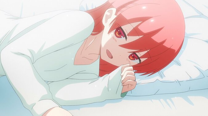 続編決定の注目アニメ2作品『トニカクカワイイ』『聖女の魔力は万能です』が配信スタート　全話一挙放送も決定 2枚目