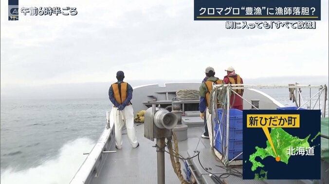 北海道・新ひだか町