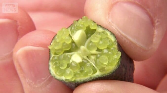 キャビアのような粒状の果肉