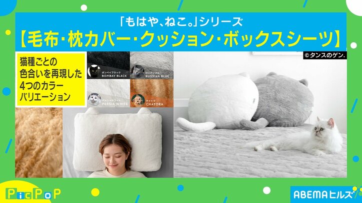 【写真・画像】「ネコになりたい」を実現する珠玉のアイテムに柴田阿弥キャスターが「可愛い！ 耳が生えてる！」と興奮　1枚目