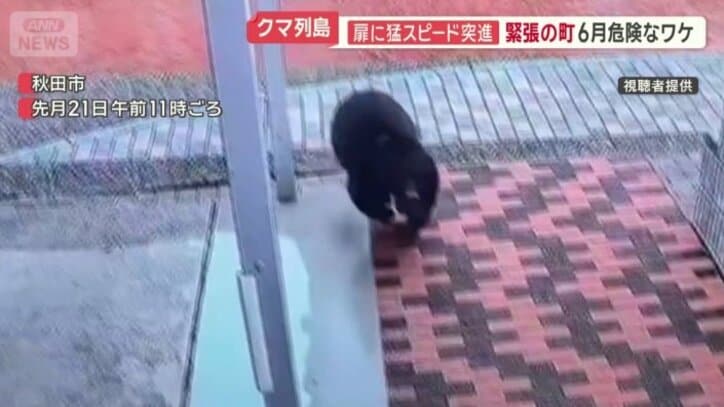 このあと扉に突進
