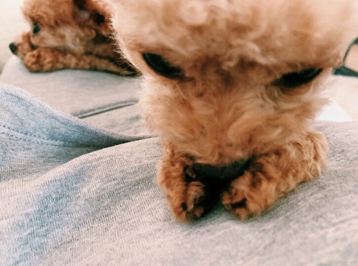 水嶋ヒロ、自分を“大好きでいてくれる存在”に「泣けてくる」