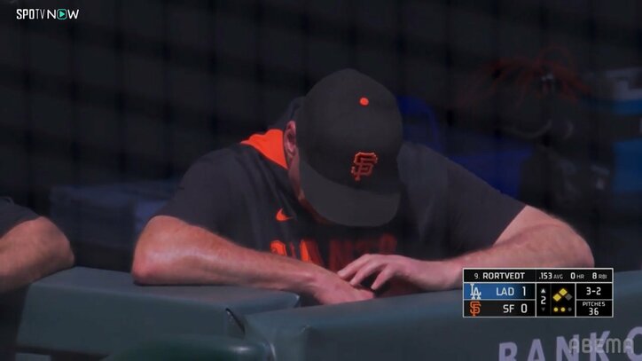 【写真・画像】　2枚目