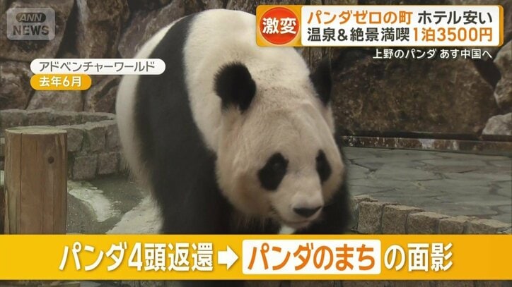 去年6月までいたアドベンチャーワールドのパンダ