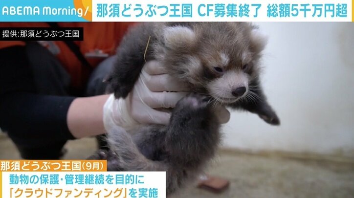 那須どうぶつ王国で“カピバラ露天風呂”始まる CFで集まった支援と温かいメッセージに心新た「責任を感じております」