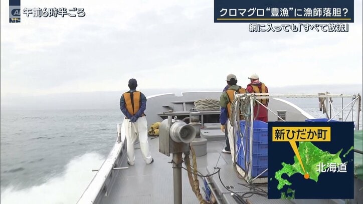 北海道・新ひだか町